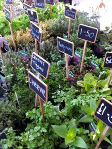 Herb and plant stall
